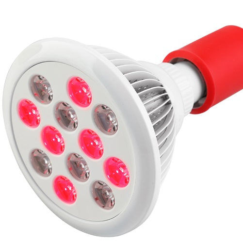 Derma Red Mini: Red & Near-Infrared Light Device