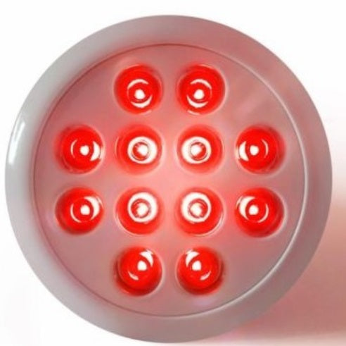 Derma Red Mini: Red & Near-Infrared Light Device